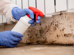 Best Mold Odor Removal Services in University Place, WA